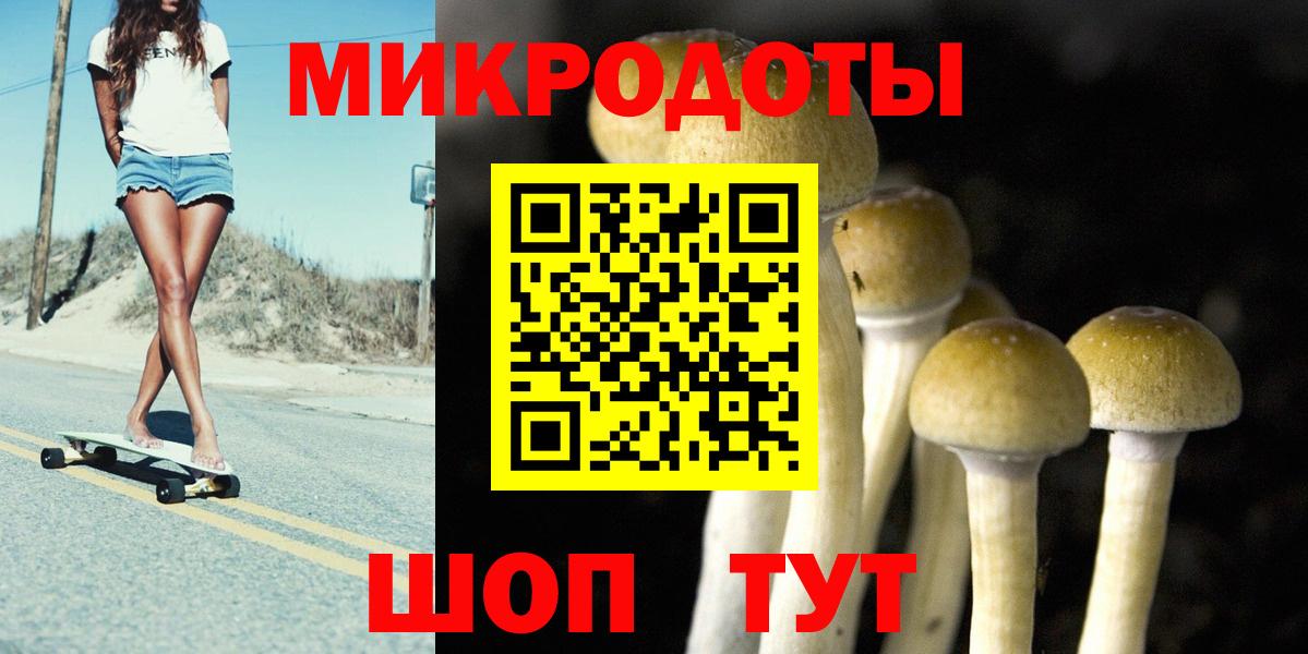 Нурлат  Галлюциногенные грибы Cubensis  Вход с VPN 