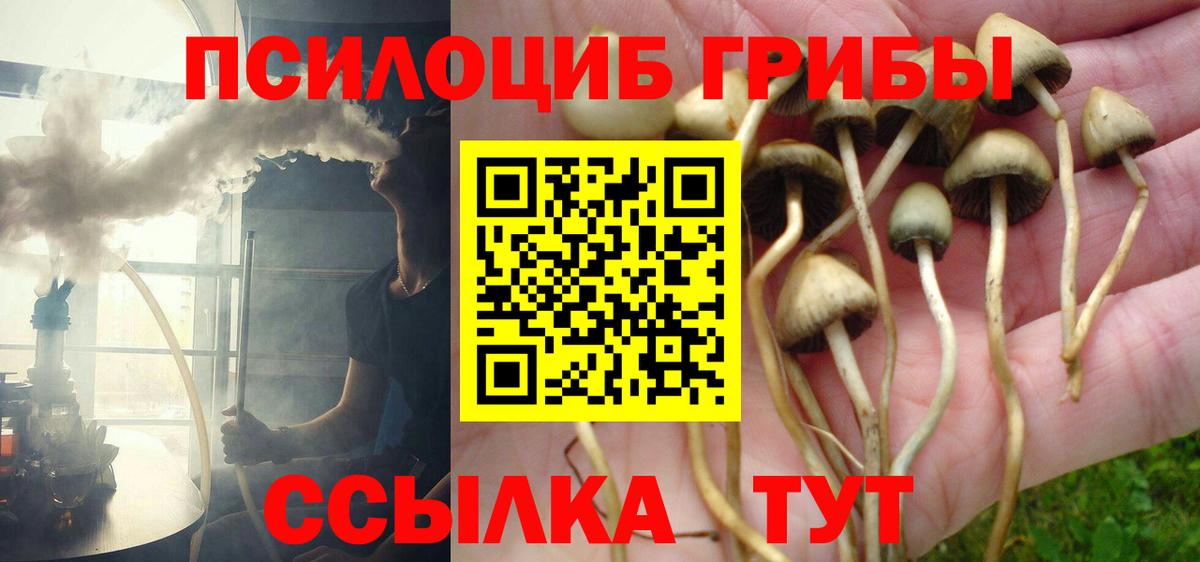 Галлюциногенные грибы MAGIC MUSHROOMS Нурлат